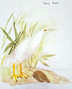Joseph Law Bird Painting